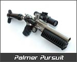 Palmer Pursuit Pictures